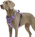 Funfox Dog Harness No Pull, Adjustable Pet Vest Harness, Super Soft Material by MyFUNFOX