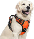 rabbitgoo Dog Harness for Large, No Pull 3 Buckles Easy On & Off by rabbitgoo
