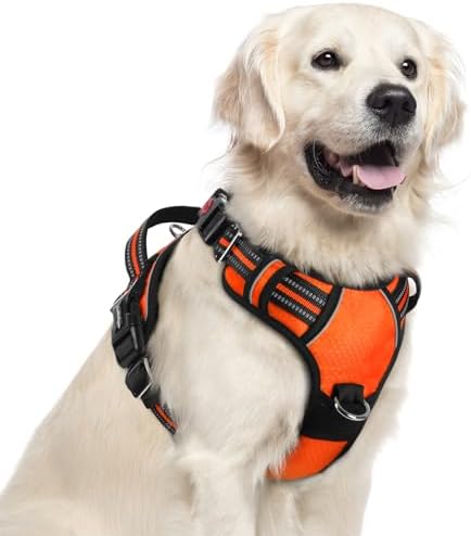 rabbitgoo Dog Harness for Large, No Pull 3 Buckles Easy On & Off by rabbitgoo
