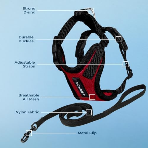 Voyager Step-in Lock Cat Harness & Leash Set - Image 3