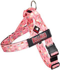 BULLHUG Adjustable Dog Harness– No Pull, No Choke – by BULLHUG