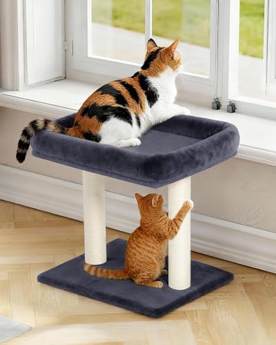 19" Small Cat Tree with Scratching Post - Image 4