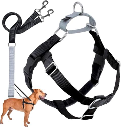 2 Hounds Design Freedom No Pull Dog Harness and Leash by 2HoundsDesign
