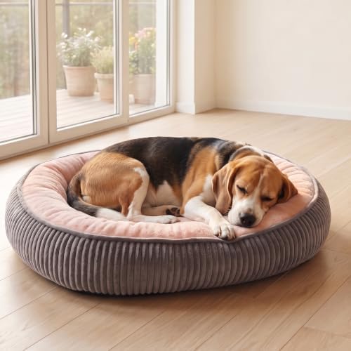 Calming Dog Bed for Medium to Large Dogs, Orthopedic Washable Plush Pet Bed by TailThrone