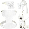 Small Dog Collar Harness and Leash Set by Unknown