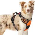 rabbitgoo Dog Harness Medium Sized, Updated Easy On & Off by rabbitgoo