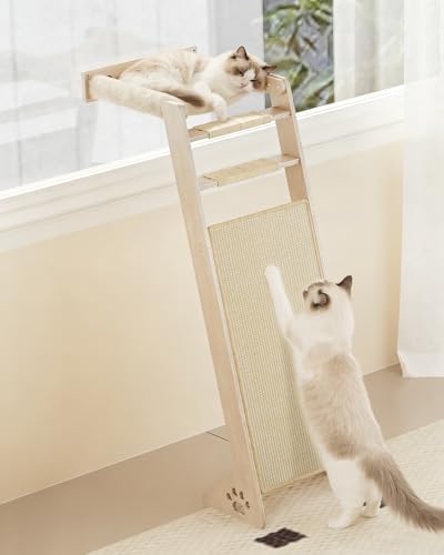 Cat Window Perch with Scratching Pad, Playing and Watching Bird by MeowHomm
