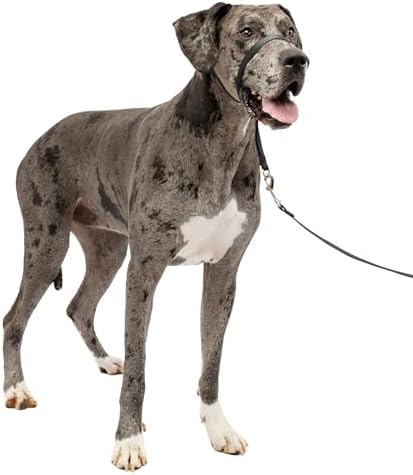 PetSafe Gentle Leader No Pull Dog Headcollar, Extra Large by PetSafe