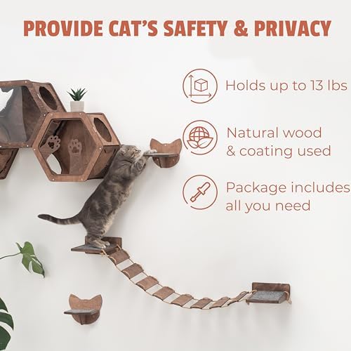 Wall Cat Shelves Wood Cat Wall Shelves Furniture - Image 5