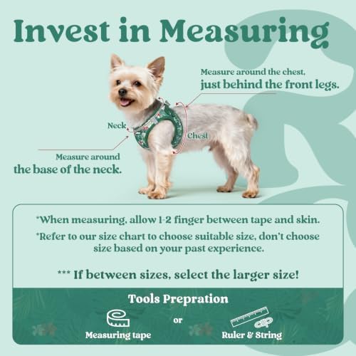 rabbitgoo Step-in Small Dog Harness, Puppy Vest - Image 2