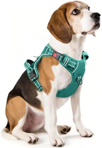 Timos Dog Harness Medium Sized, Quick Release 3 Buckles, Grass Green by Timos