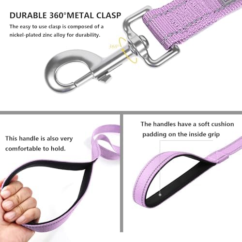 6 FT Basic Dog Leash for Small Dogs - Image 4