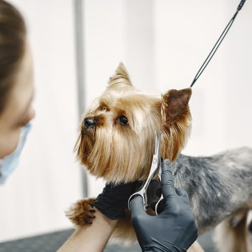 Dog Grooming Scissors, 4.5 Inch Round Tip Pet Scissors - Image 5