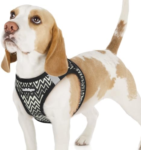rabbitgoo Step-in Small Dog Harness, Puppy Vest by rabbitgoo