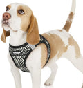 rabbitgoo Step-in Small Dog Harness, Puppy Vest by rabbitgoo
