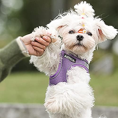 AIITLE Small Dog Harness and Leash Set, Step-in Puppy Pet Vest - Image 6
