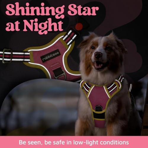 rabbitgoo Dog Harness Medium Sized, No Pull 3 Buckles Easy On & Off - Image 6