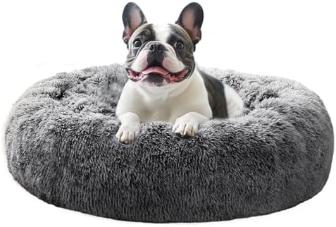 JOLLYVOGUE Calming Dog Bed Medium Size Dog, Anti-Anxiety Donut Medium Pet Bed by JOLLYVOGUE