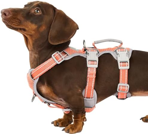 Huntboo Escape Proof Dog Harness, Escape Artist Harness, Fully Reflective by Huntboo