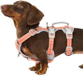 Huntboo Escape Proof Dog Harness, Escape Artist Harness, Fully Reflective by Huntboo