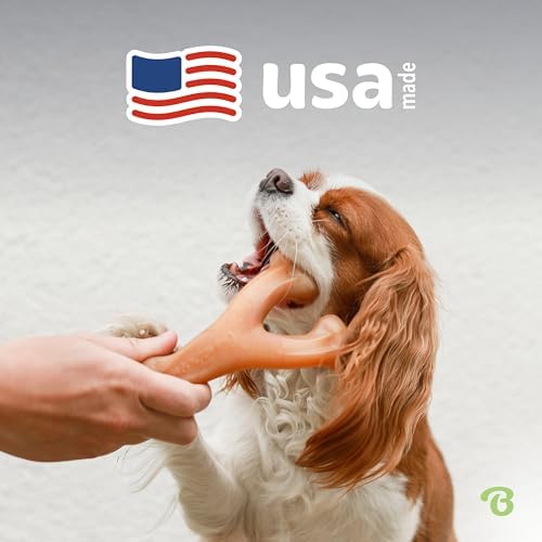 Benebone Wishbone Dog Chew Toy for Aggressive Chewers, Real Chicken - Image 5