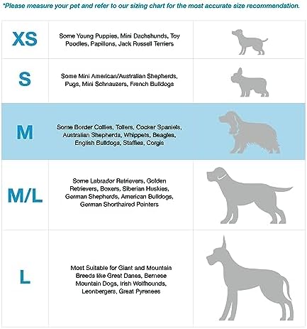 Blue-9 Balance Harness® for Dogs, Buckle-Neck - Image 4
