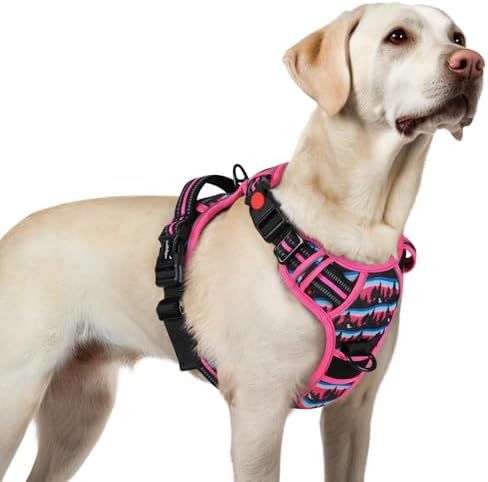 rabbitgoo Dog Harness for Large, Updated Easy On & Off by rabbitgoo