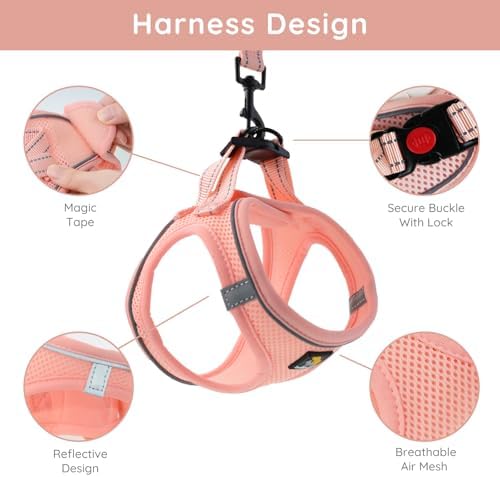 BELLA & PAL Step in Puppy Harness and Leash Set - Image 2