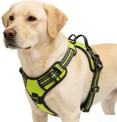 Green No-Pull Dog Harness with 2 Leash Clips，Soft Padded Vest by Unknown
