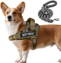 AUROTH Dog Harness and Leash Set Small Sized Dog, No Pull Escape Proof Vest by AurothPets