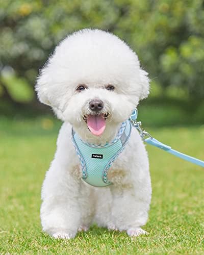 Petank Step in Dog Harness No Pull and Leash - Image 2