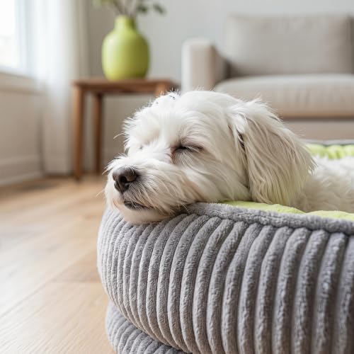 Calming Dog Bed for Medium Dogs, Orthopedic Washable Pet Bed - Image 5