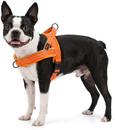 Didog No Pull Dog Harness for Small Dogs, Soft Flannel Padded - Image 6