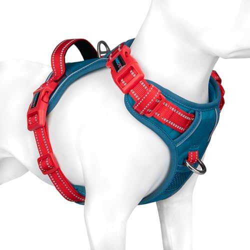 PHOEPET No Pull Dog Harness, Unique Colors Reflective Adjustable Dog Vest by PHOEPET