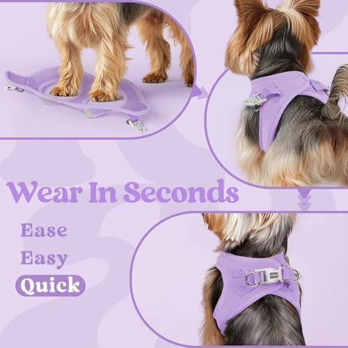 rabbitgoo Step-in Small Dog Harness, Puppy Vest - Image 6