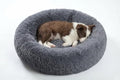 SAVFOX 23 inches Calming Donut Dog Bed by SAVFOX