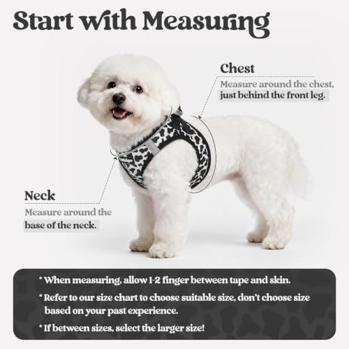 rabbitgoo Dog Harness Small Sized and Leash Set, Step-in Puppy Pet Vest - Image 2