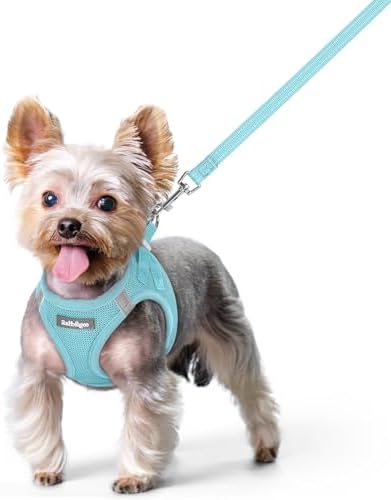rabbitgoo Dog Harness Small Sized and Leash Set, Step-in Puppy Pet Vest by rabbitgoo