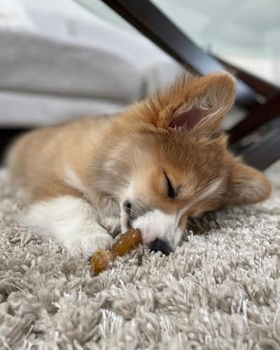 Nylabone Puppy Chew Teething Bone Dog Chew Toys, Chicken Flavor - Image 2