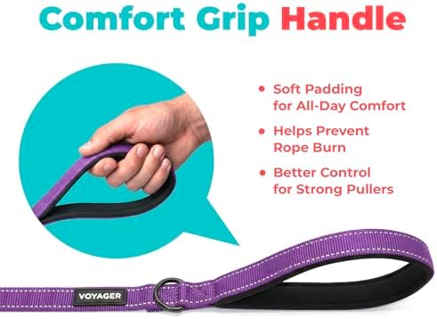 Best Pet Supplies Voyager Nylon Dog Leash - 6ft Purple - Image 5