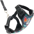 RC Pets Adventure Kitty Cat Harness, 6ft Leash, Trail Badges by RCPets
