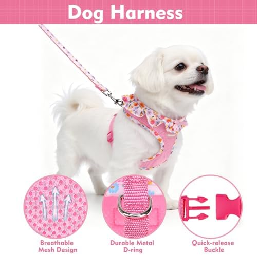 EXPAWLORER Step-in Dog Harness Small Sized and Leash Set - Image 3