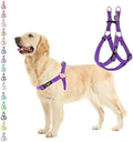 PUPTECK No Pull Dog Harness Medium Sized Step-in Adjustable Puppy Vest by PUPTECK