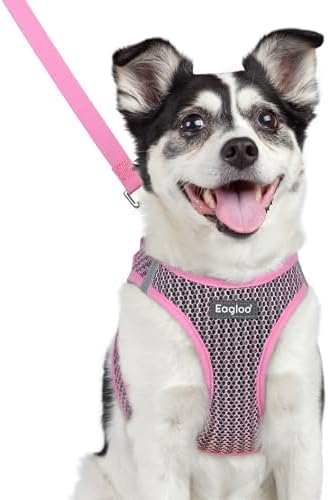 Eagloo Small Dog Harness and Leash Set, Step in Medium Small Puppy Pet Vest by GoExplorewithEagloo