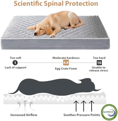 WNPETHOME Orthopedic Waterproof Dog Bed Medium - Image 3