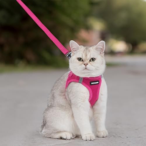 Voyager Step-in Air Cat Harness & Leash Set - Image 7