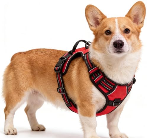 Red No-Pull Dog Harness with 2 Leash Clips，Soft Padded Vest by Unknown