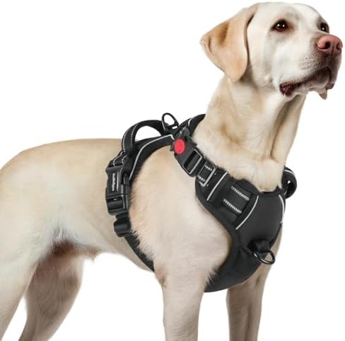 rabbitgoo Dog Harness for Large, Updated Easy On & Off by rabbitgoo
