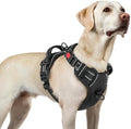 rabbitgoo Dog Harness for Large, Updated Easy On & Off by rabbitgoo