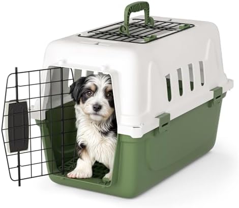 Magshion 18 Inch Hard-Sided Dog Cat Carrier by Magshion
